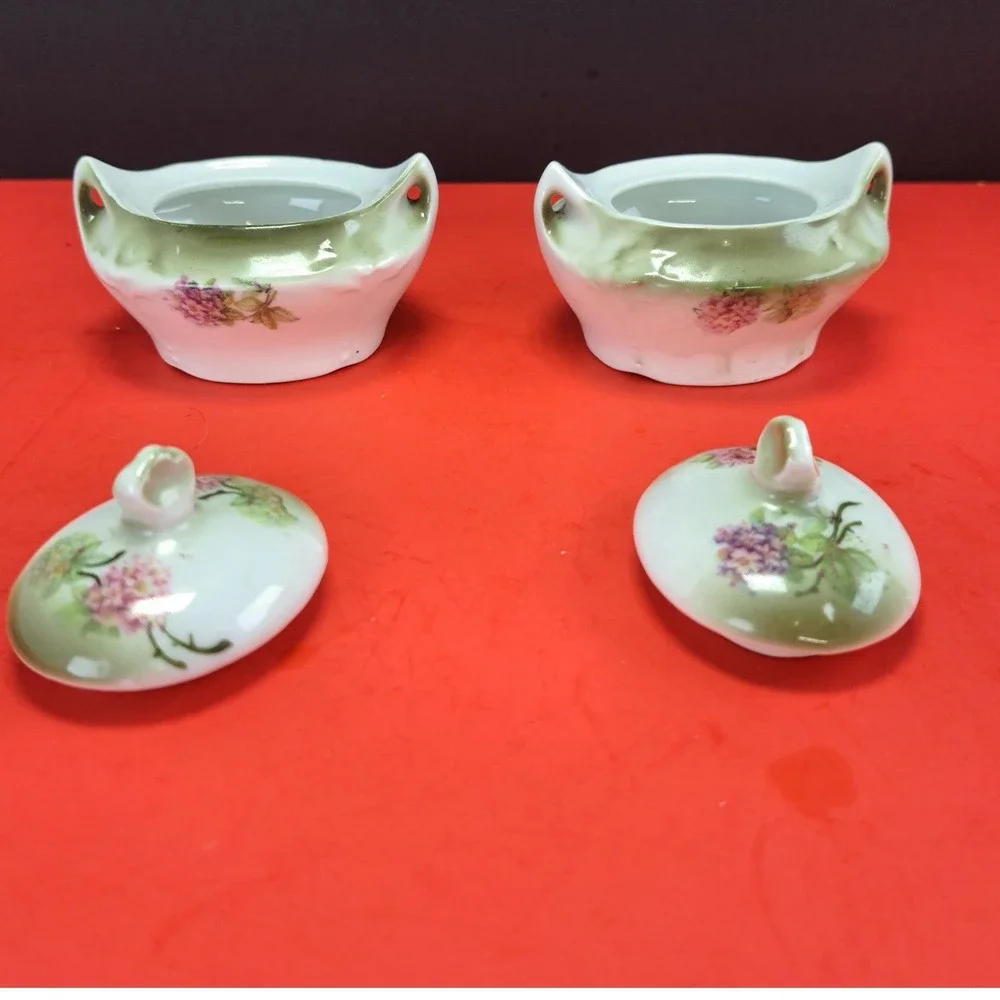 Moschendorf Bavaria Tea Vanity Set OS Green Pink Excellent Hydrangea Floral 5pc